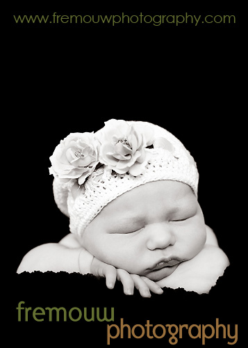 img_8272bw img_8272bw